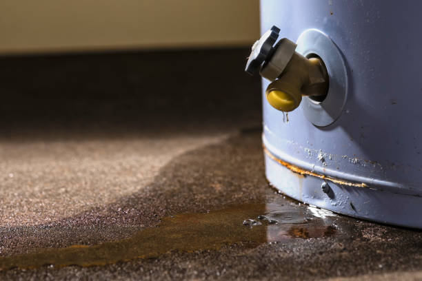 Best Water damage repair service  in , FL