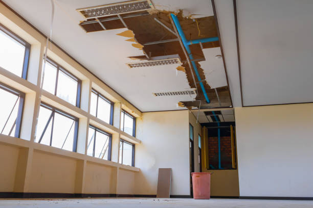 Best Water damage restoration near me  in , FL