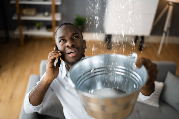Best Ceiling water damage repair  in , FL