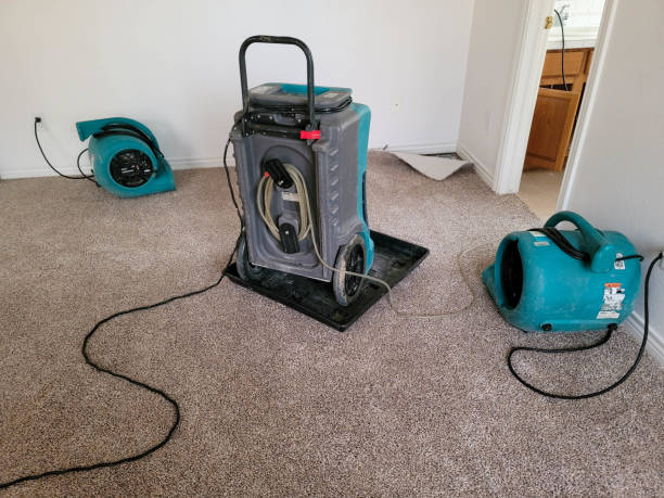 Best Water damage restoration near me  in , FL