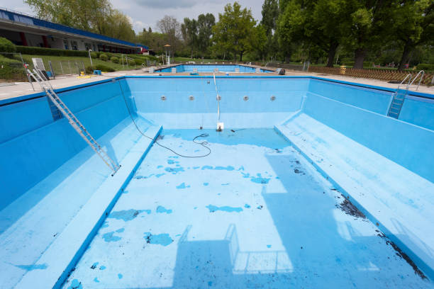 Best Flood damage cleanup  in , FL