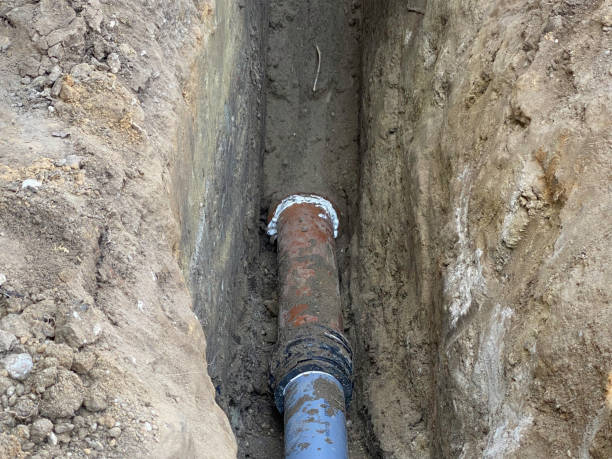 Best Sewage cleanup and water damage restoration  in , FL