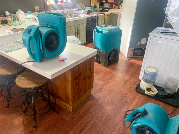  , FL Water damage restoration Pros
