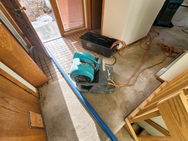 Best Professional water damage repair  in , FL
