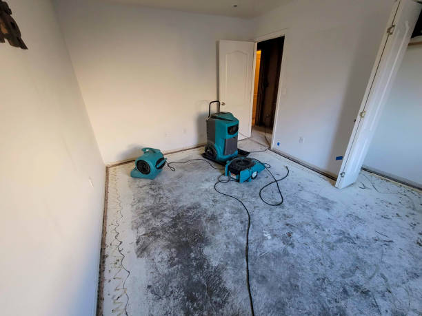 Best Emergency water damage restoration  in , FL