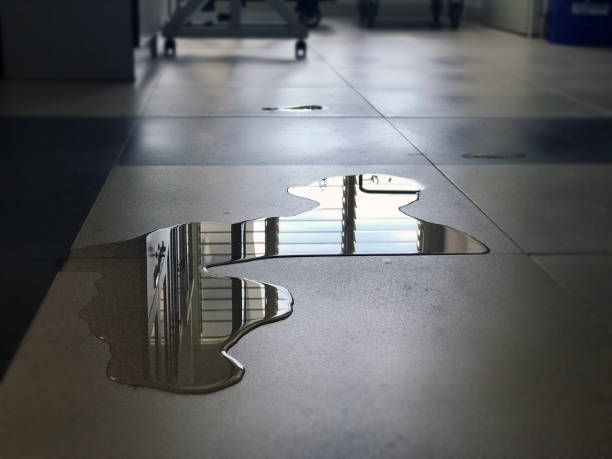 Best 24/7 water damage repair  in , FL