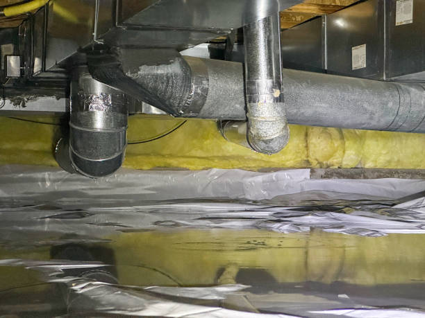 Best Water damage restoration near me  in , FL