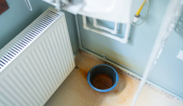 Best Water damage contractors near me  in , FL