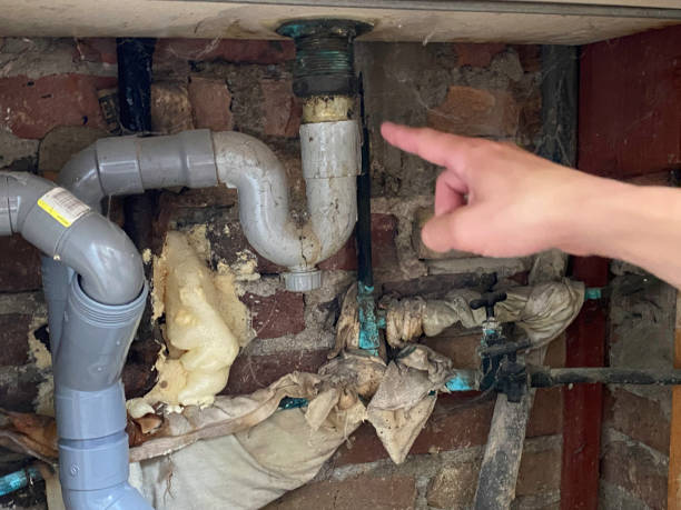Best Basement water damage restoration  in , FL