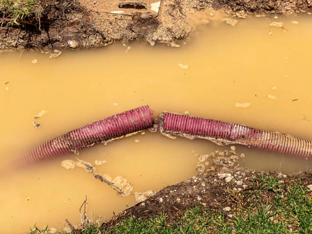 Best 24-hour water damage restoration  in , FL